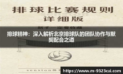 排球精神：深入解析北京排球队的团队协作与默契配合之道